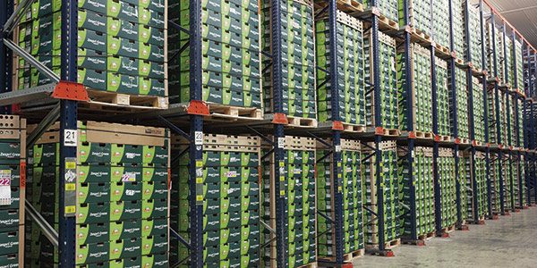 cajas-de-frutas-y-verduras-paletizadas-en-almacen